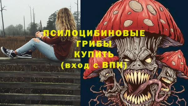 гашиш Арсеньев